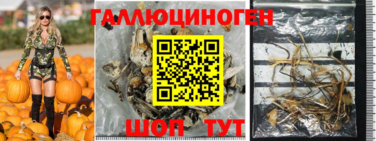 ГАШИШ Новошахтинск