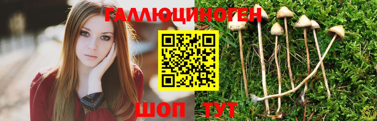 Псилоцибиновые грибы мицелий  Вход с VPN  дарнет шоп  Галлюциногенные грибы Cubensis  Новошахтинск 